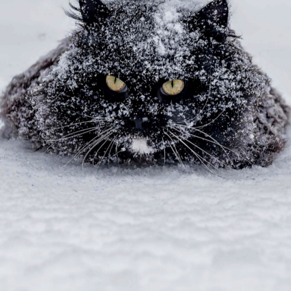 🛍🛍🛍🛍Taking Offers On All Items. Don't Be Shy It's Yours To Buy. 🛍🛍🛍🛍🛍🛍